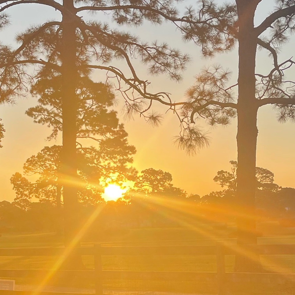 Meet your Posher, Whitney